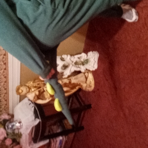 Tyrannosaurus Rex pajamas or Halloween costume - Picture 10 of 17